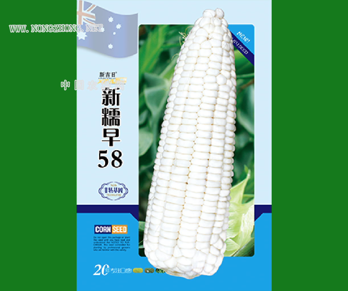 新糯早58